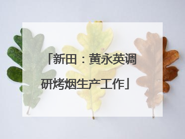 新田：黄永英调研烤烟生产工作