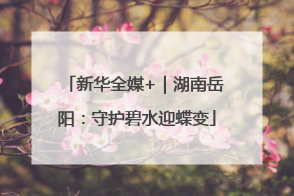 新华全媒+｜湖南岳阳：守护碧水迎蝶变