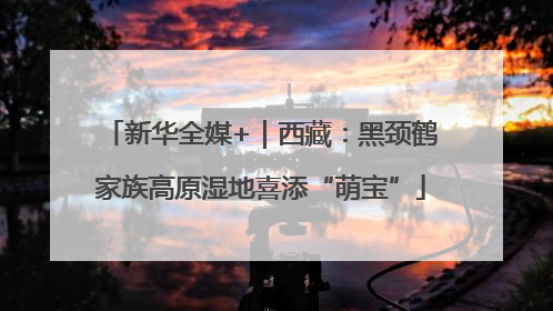 新华全媒+｜西藏：黑颈鹤家族高原湿地喜添“萌宝”