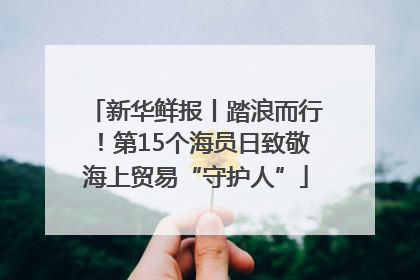 新华鲜报丨踏浪而行！第15个海员日致敬海上贸易“守护人”