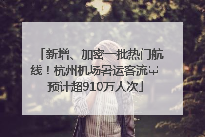 新增、加密一批热门航线！杭州机场暑运客流量预计超910万人次