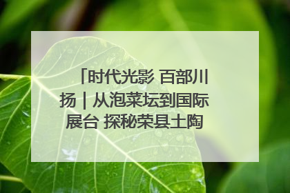 时代光影 百部川扬｜从泡菜坛到国际展台 探秘荣县土陶的“破圈”之路