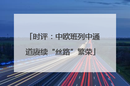 时评：中欧班列中通道赓续“丝路”繁荣