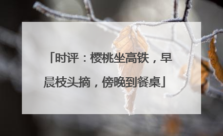 时评：樱桃坐高铁，早晨枝头摘，傍晚到餐桌
