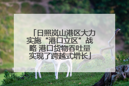 日照岚山港区大力实施“港口立区”战略 港口货物吞吐量实现了跨越式增长