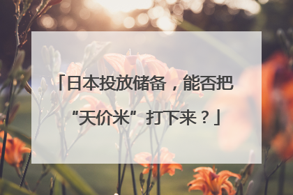 日本投放储备，能否把“天价米”打下来？