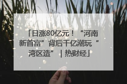 日涨80亿元！“河南新首富”背后千亿潮玩“湾区造”｜热财经