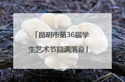 昆明市第36届学生艺术节圆满落幕