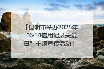昆明市举办2025年“6·14信用记录关爱日”主题宣传活动