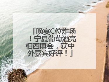 晚宴C位炸场！宁夏葡萄酒亮相西博会，获中外嘉宾好评！