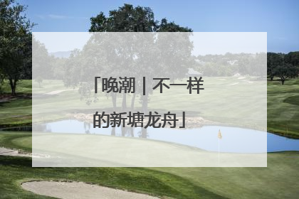 晚潮｜不一样的新塘龙舟