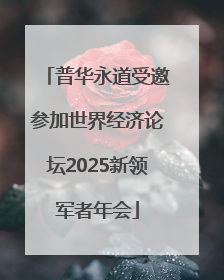普华永道受邀参加世界经济论坛2025新领军者年会