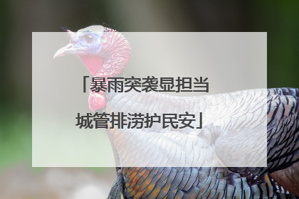 暴雨突袭显担当 城管排涝护民安