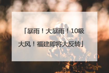 暴雨！大暴雨！10级大风！福建即将大反转