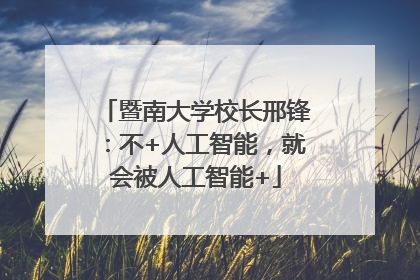 暨南大学校长邢锋：不+人工智能，就会被人工智能+