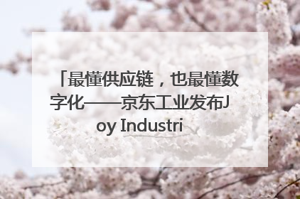 最懂供应链，也最懂数字化——京东工业发布Joy Industrial 重塑工业未来