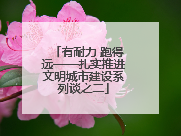 有耐力 跑得远——扎实推进文明城市建设系列谈之二