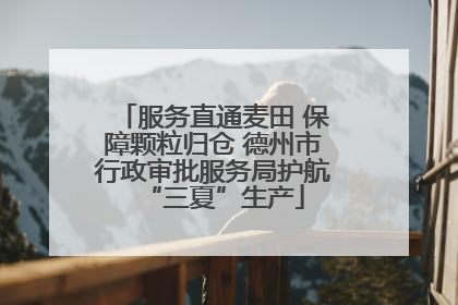 服务直通麦田 保障颗粒归仓 德州市行政审批服务局护航“三夏”生产