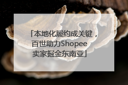 本地化履约成关键，百世助力Shopee卖家掘金东南亚