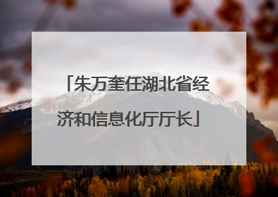朱万奎任湖北省经济和信息化厅厅长