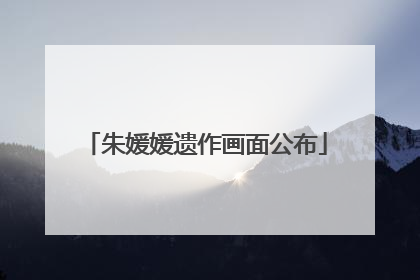 朱媛媛遗作画面公布
