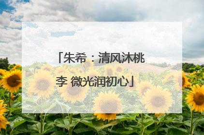 朱希：清风沐桃李 微光润初心