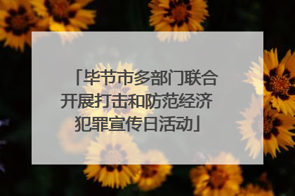 毕节市多部门联合开展打击和防范经济犯罪宣传日活动