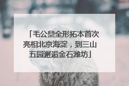 毛公鼎全形拓本首次亮相北京海淀，到三山五园邂逅金石潍坊