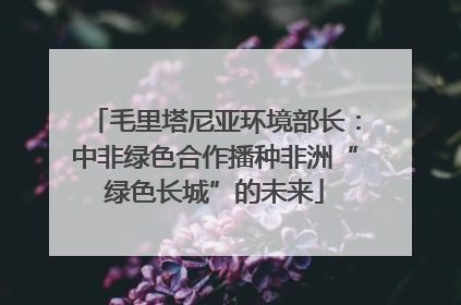 毛里塔尼亚环境部长：中非绿色合作播种非洲“绿色长城”的未来