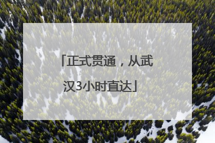 正式贯通，从武汉3小时直达