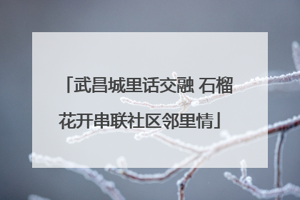 武昌城里话交融 石榴花开串联社区邻里情
