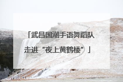 武昌国潮手语舞蹈队走进“夜上黄鹤楼”