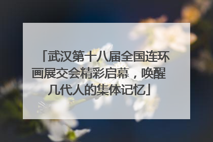 武汉第十八届全国连环画展交会精彩启幕，唤醒几代人的集体记忆