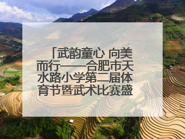 武韵童心 向美而行——合肥市天水路小学第二届体育节暨武术比赛盛大开幕