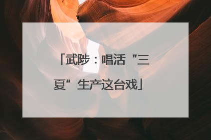 武陟：唱活“三夏”生产这台戏