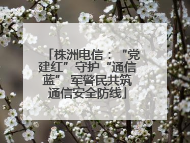 株洲电信：“党建红”守护“通信蓝” 军警民共筑通信安全防线