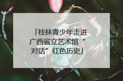 桂林青少年走进广西省立艺术馆“对话”红色历史