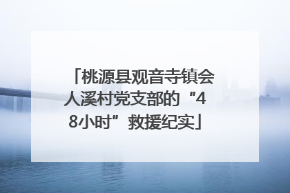 桃源县观音寺镇会人溪村党支部的“48小时”救援纪实