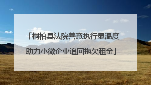 桐柏县法院善意执行显温度 助力小微企业追回拖欠租金
