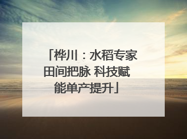 桦川：水稻专家田间把脉 科技赋能单产提升