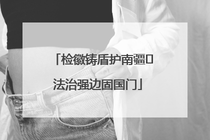 检徽铸盾护南疆 法治强边固国门