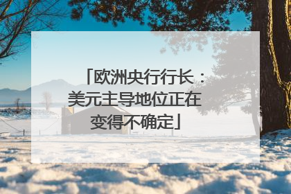 欧洲央行行长：美元主导地位正在变得不确定