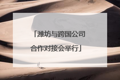 潍坊与跨国公司合作对接会举行