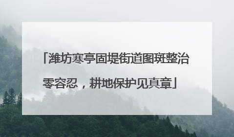 潍坊寒亭固堤街道图斑整治零容忍，耕地保护见真章