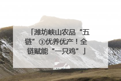 潍坊峡山农品“五链”③优养优产！全链赋能“一只鸡”