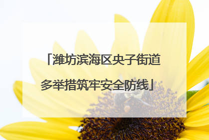潍坊滨海区央子街道多举措筑牢安全防线