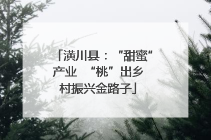潢川县：“甜蜜”产业  “桃”出乡村振兴金路子