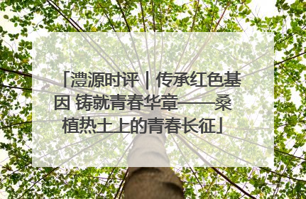 澧源时评｜传承红色基因 铸就青春华章——桑植热土上的青春长征