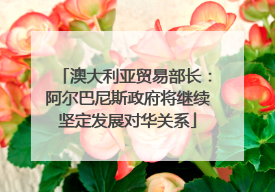 澳大利亚贸易部长：阿尔巴尼斯政府将继续坚定发展对华关系