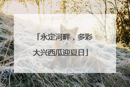 永定河畔，多彩大兴西瓜迎夏日